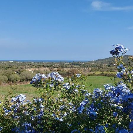 La Casa Di Eve Villa Budoni Esterno foto