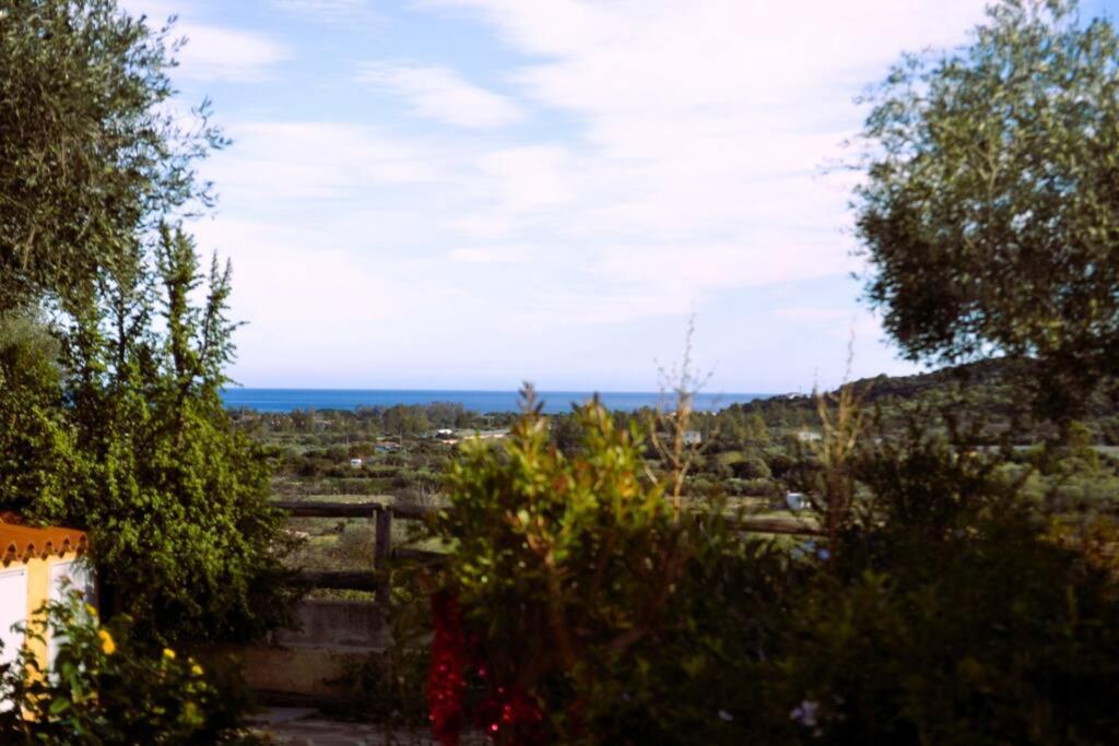 La Casa Di Eve Villa Budoni Esterno foto