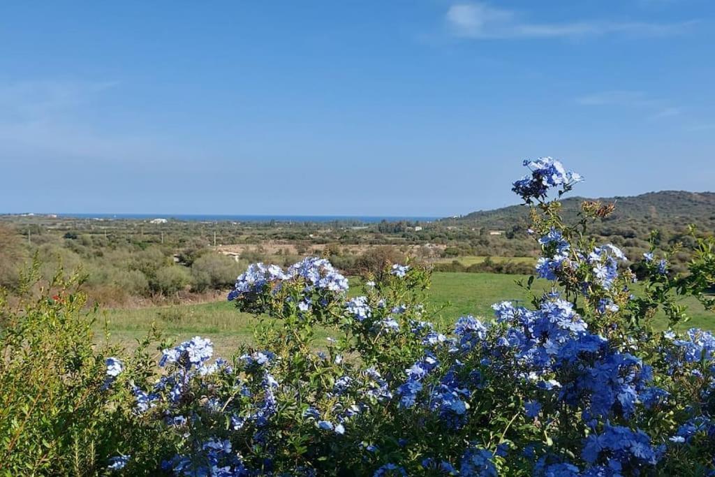 La Casa Di Eve Villa Budoni Esterno foto