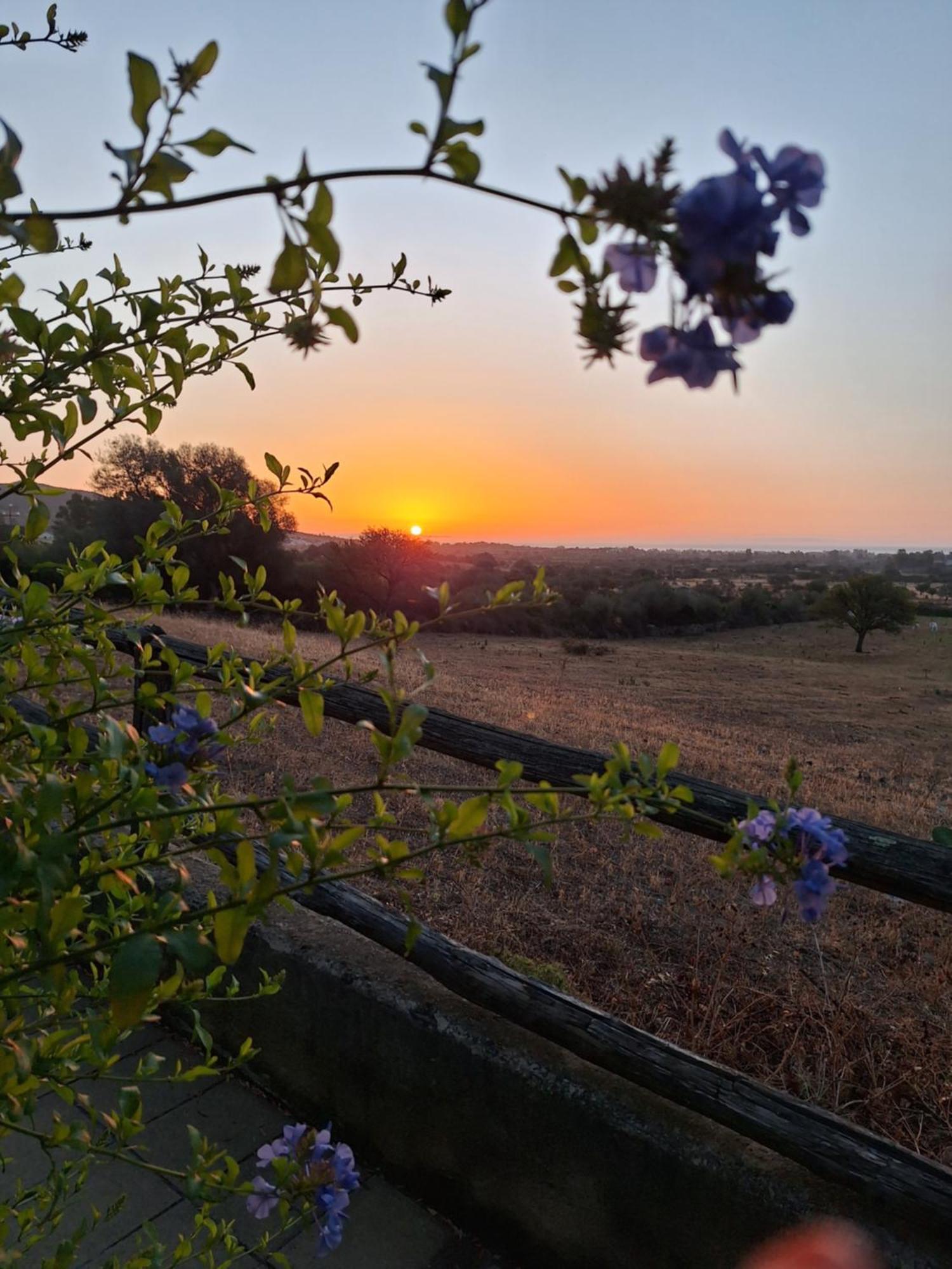 La Casa Di Eve Villa Budoni Esterno foto