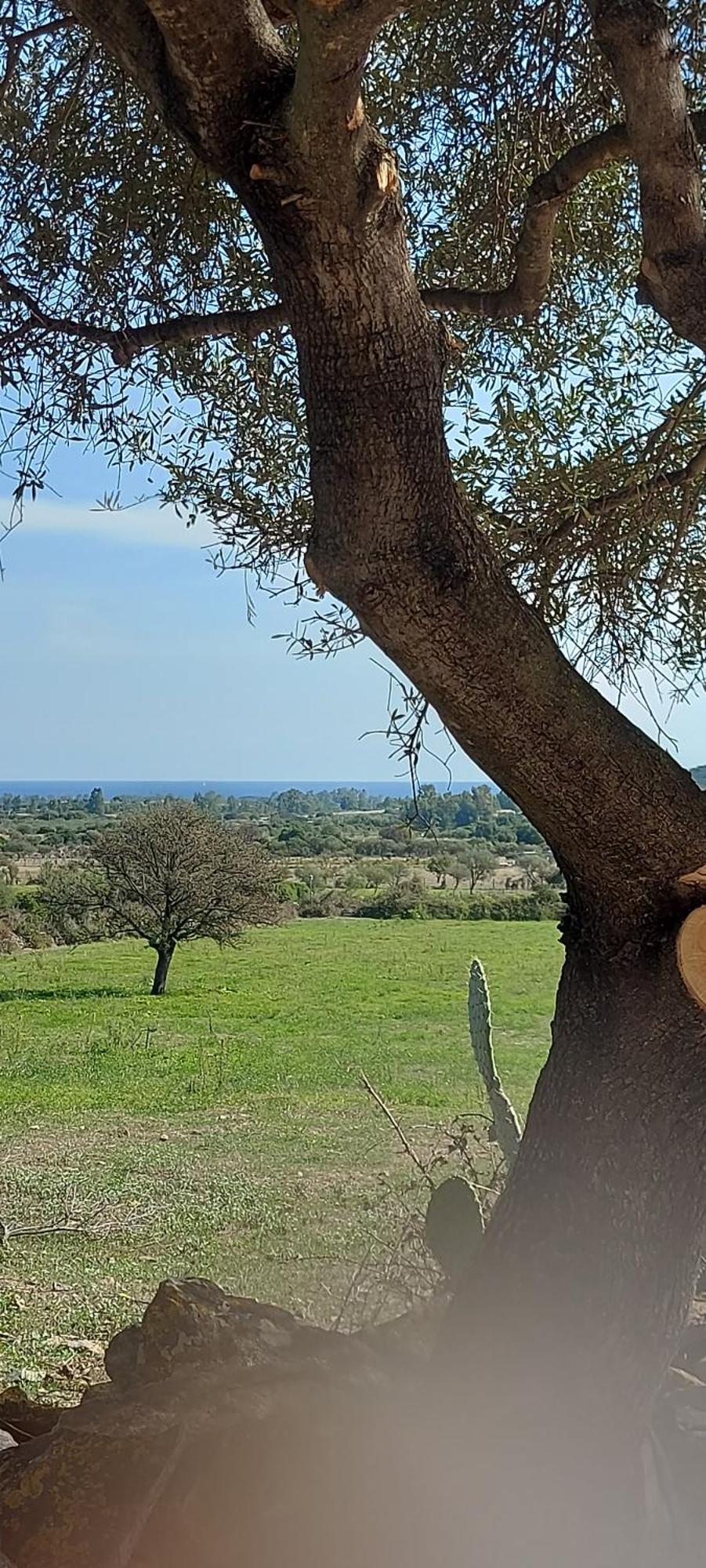 La Casa Di Eve Villa Budoni Esterno foto