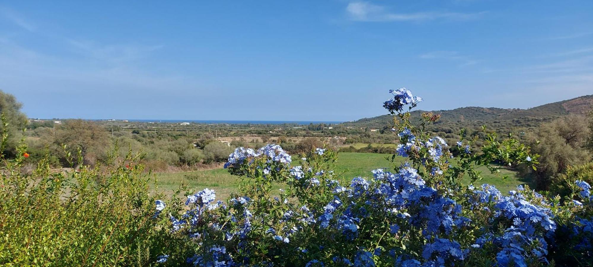 La Casa Di Eve Villa Budoni Esterno foto